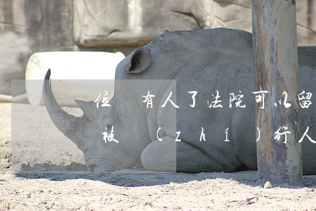 單位沒有人了法院可以留置送達嗎(法院可以對被執(zhí)行人留置嗎)