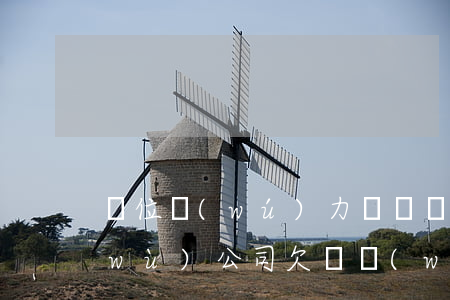 單位無(wú)力償還個(gè)人債務(wù)(公司欠債無(wú)力償還)