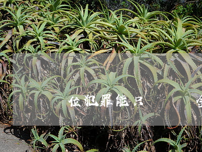 單位犯罪能只單處罰金嗎