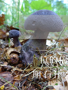 單位的信用卡逾期了怎么辦 銀行卡信用卡逾期有什么辦