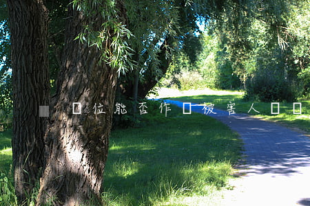 單位能否作為被害人參與刑事訴訟？
