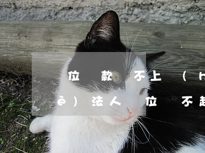 單位貸款還不上,會(huì)追究企業(yè)法人（單位還不起銀行貸款）