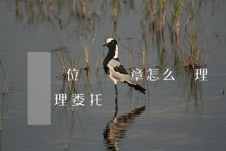 單位車輛違章怎么處理(單位車輛違章怎么處理委托書)