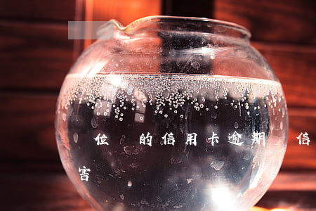 單位辦的信用卡逾期(辦信用卡逾期有什么危害)