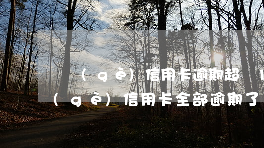 單個(gè)信用卡逾期超過10萬(十幾個(gè)信用卡全部逾期了)