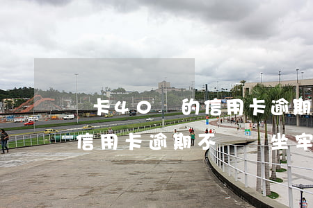單卡40萬的信用卡逾期不還(單卡40萬的信用卡逾期不還會坐牢嗎)