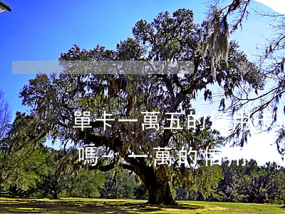 單卡一萬五的信用卡逾期會(huì)坐牢嗎-一萬的信用卡逾期會(huì)怎么樣