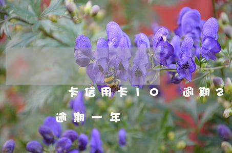 單卡信用卡10萬逾期2年 信用卡2000逾期一年