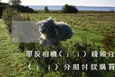 單反相機(jī)鏡頭分期免息-單反相機(jī)分期付款購買