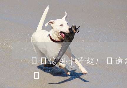 單張信用卡不超1萬逾期(信用卡逾期低于一萬)