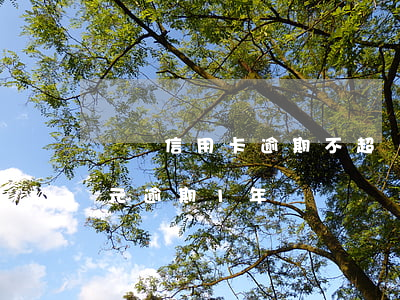 單張信用卡逾期不超過1萬(信用卡1000元逾期1年)