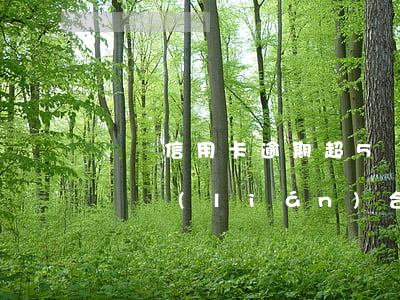單張信用卡逾期超5萬(單張信用卡逾期超5萬 聯(lián)合其他銀行報警)