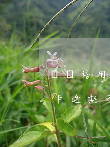 單張信用卡逾期超五萬(wàn)(單張信用卡逾期不超過(guò)5萬(wàn)還坐牢嗎)