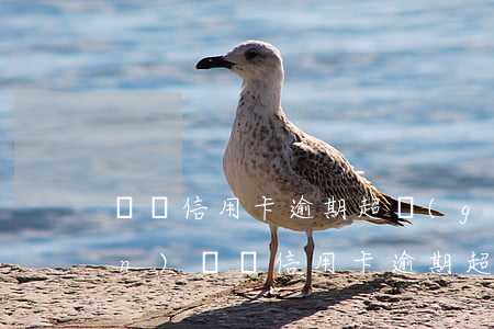單張信用卡逾期超過(guò)3萬(wàn)(單張信用卡逾期超5萬(wàn))