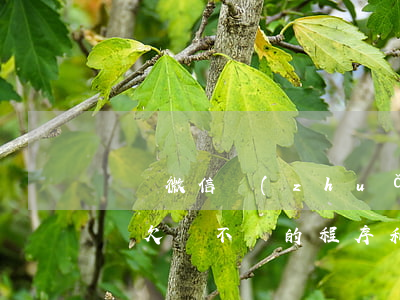 單憑微信轉(zhuǎn)賬能起訴(微信起訴欠錢不還的程序和費用)