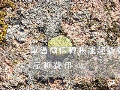 單憑微信轉賬能起訴(微信起訴欠錢不還的程序和費用)