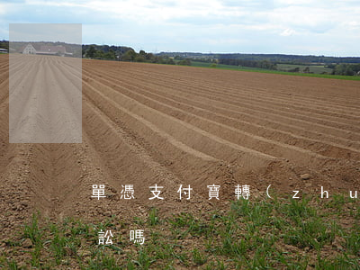 單憑支付寶轉(zhuǎn)賬可以提起訴訟嗎