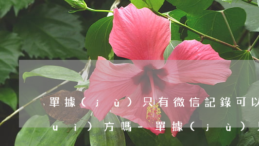 單據(jù)只有微信記錄可以起訴對(duì)方嗎-單據(jù)只有微信記錄可以起訴對(duì)方嗎有效嗎