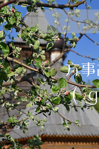 單方事故相關(guān)法律(單方事故相關(guān)法律)