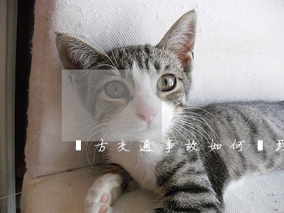單方交通事故，如何處理？有必要報警嗎