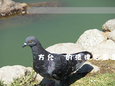 單方允諾的法律后果是如何的