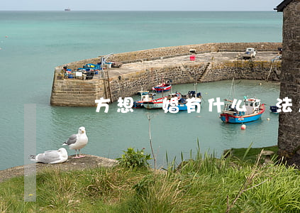 單方想離婚有什么辦法(怎樣可以單方面離婚)