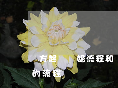 單方起訴離婚流程和費用(單方直接起訴離婚的流程)