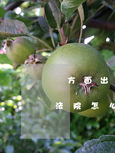 單方面出軌的離婚訴訟(夫妻另一方出軌離婚法院怎么判)