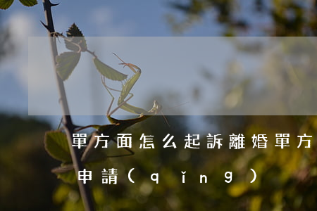 單方面怎么起訴離婚(單方面起訴離婚去哪里申請(qǐng)?)