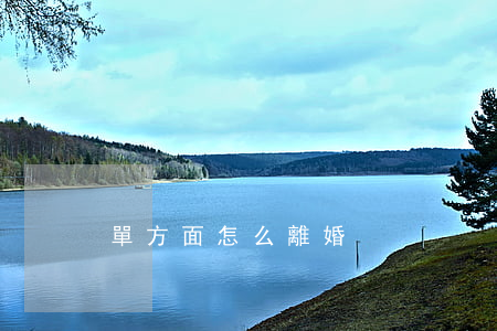 單方面怎么離婚