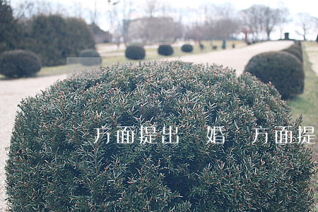 單方面提出離婚(單方面提出離婚需要多久)