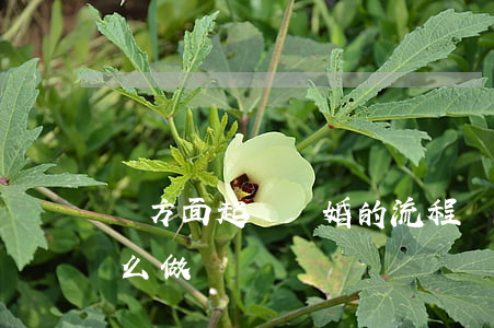 單方面起訴離婚的流程(單方面起訴離婚要怎么做)