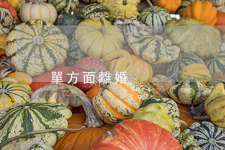 單方面離婚