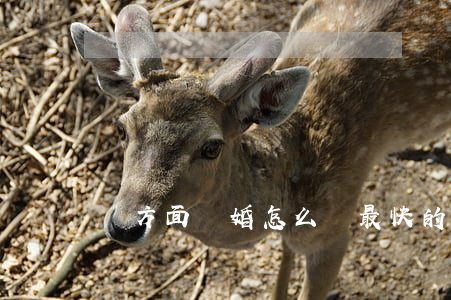 單方面離婚怎么離最快的速度