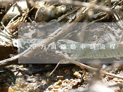 單方面離婚申請流程