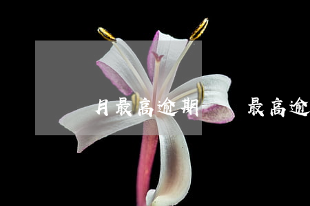 單月最高逾期總額(最高逾期次數(shù))