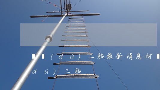 單獨(dú)二胎最新消息(何時放開單獨(dú)二胎)