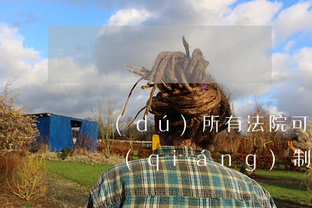 單獨(dú)所有法院可以執(zhí)行嗎(強(qiáng)制執(zhí)行只能在一審法院嗎)