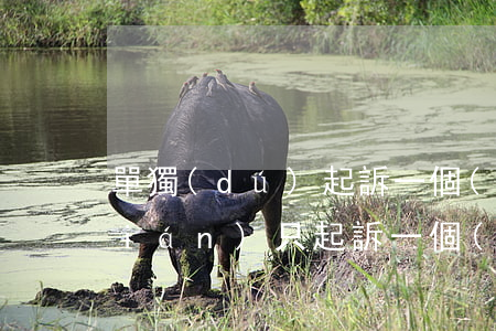 單獨(dú)起訴一個(gè)人欠錢(qián)(只起訴一個(gè)借款人)