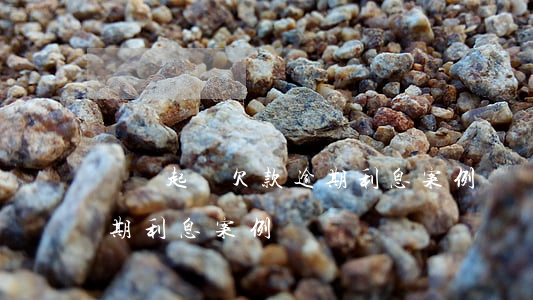 單獨起訴欠款逾期利息案例(單獨起訴欠款逾期利息案例)