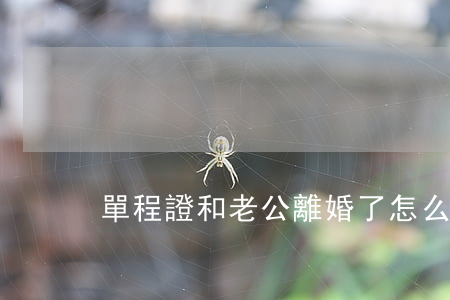 單程證和老公離婚了怎么辦
