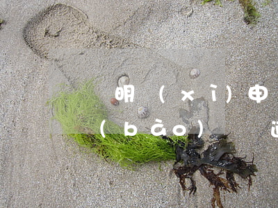 單筆明細(xì)申報(bào)-逾期申報(bào) 單筆逾期什么意思