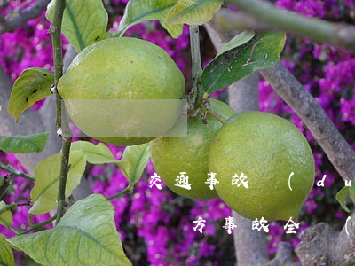 單純交通事故對(duì)方全責(zé)賠償(單方事故全責(zé)保險(xiǎn)全賠嗎)