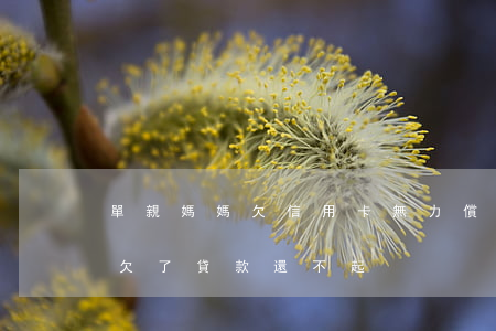 單親媽媽欠信用卡無力償還欠款-單親媽媽欠了貸款還不起