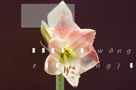 單親媽媽欠網(wǎng)貸20萬(欠了20萬網(wǎng)貸家里無力償還)