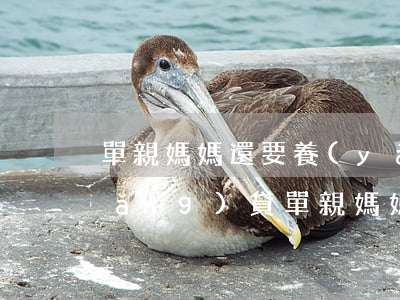 單親媽媽還要養(yǎng)孩子欠網(wǎng)貸(單親媽媽欠債怎么辦)