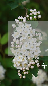 單親家庭孩子欠網(wǎng)貸怎辦(成年兒子欠網(wǎng)貸父母應(yīng)該如何處理)