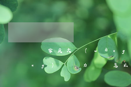 單親家庭欠網(wǎng)貸(單身網(wǎng)貸無力償還怎么辦)