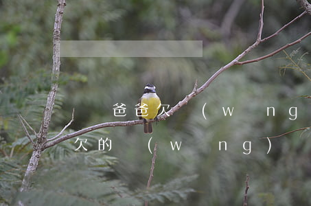 單親爸爸欠網(wǎng)貸怎么判決(父親欠的網(wǎng)貸要子女還嗎)