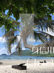 單身信用卡逾期坐牢(欠信用卡逾期一年多會(huì)坐牢嗎)